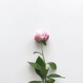 item-1