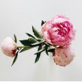 item-2