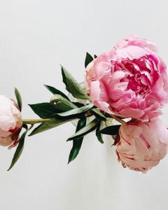 item-2